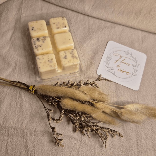 Parfum fondants parfum Coco-Citron vert